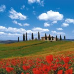 Toskana: Blick auf Zypressen, Mohnblumenfelder. ein Haus und die hügelige Lanschaft
