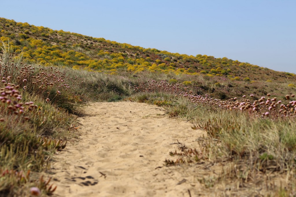 Sandiger Fischerpfad der Rota Vicentina