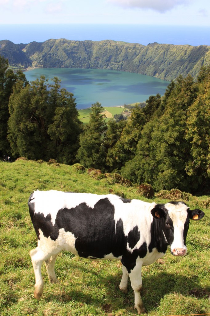 Ausblick von Kraterrand auf den See - Sete Cidades