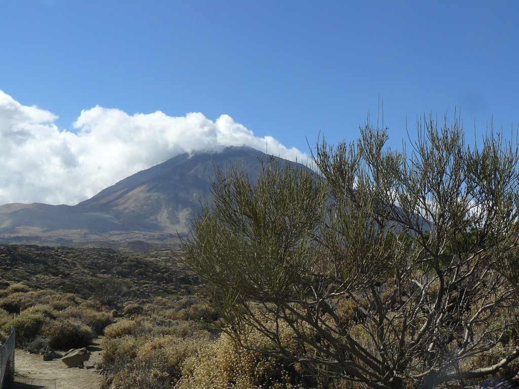 Wanderung_Pico_Teide_Teneriffa