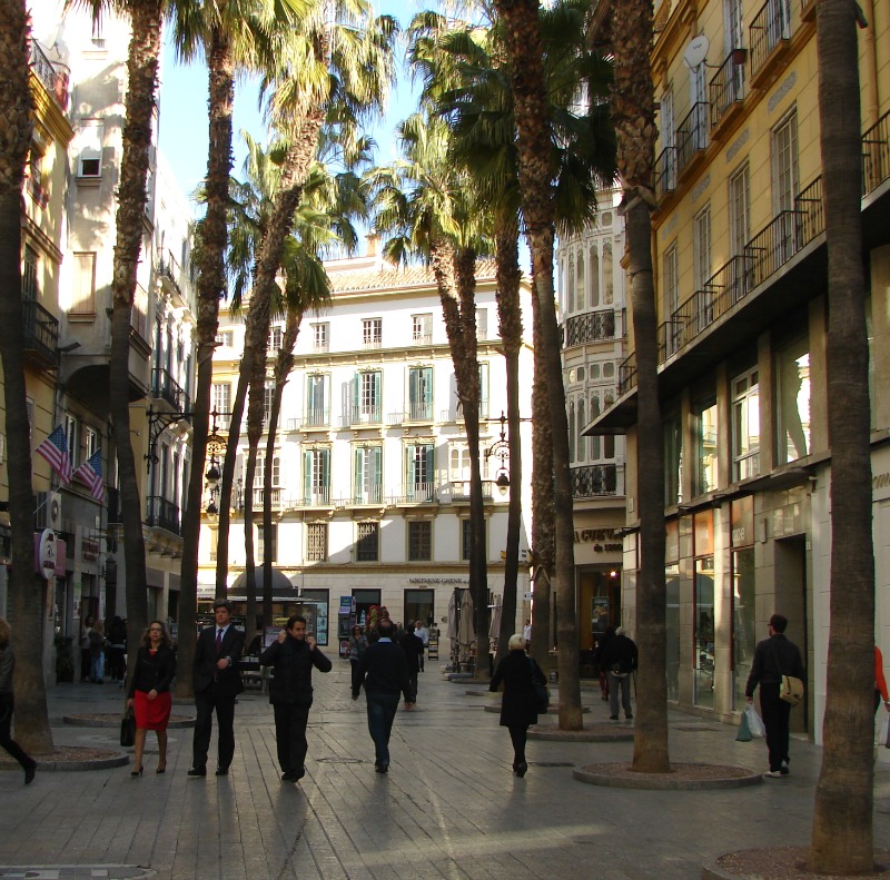 Palmen in der hübschen Fußgängerzone von Málaga