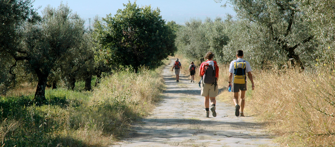 Vie Francigene Wandern Wanderer