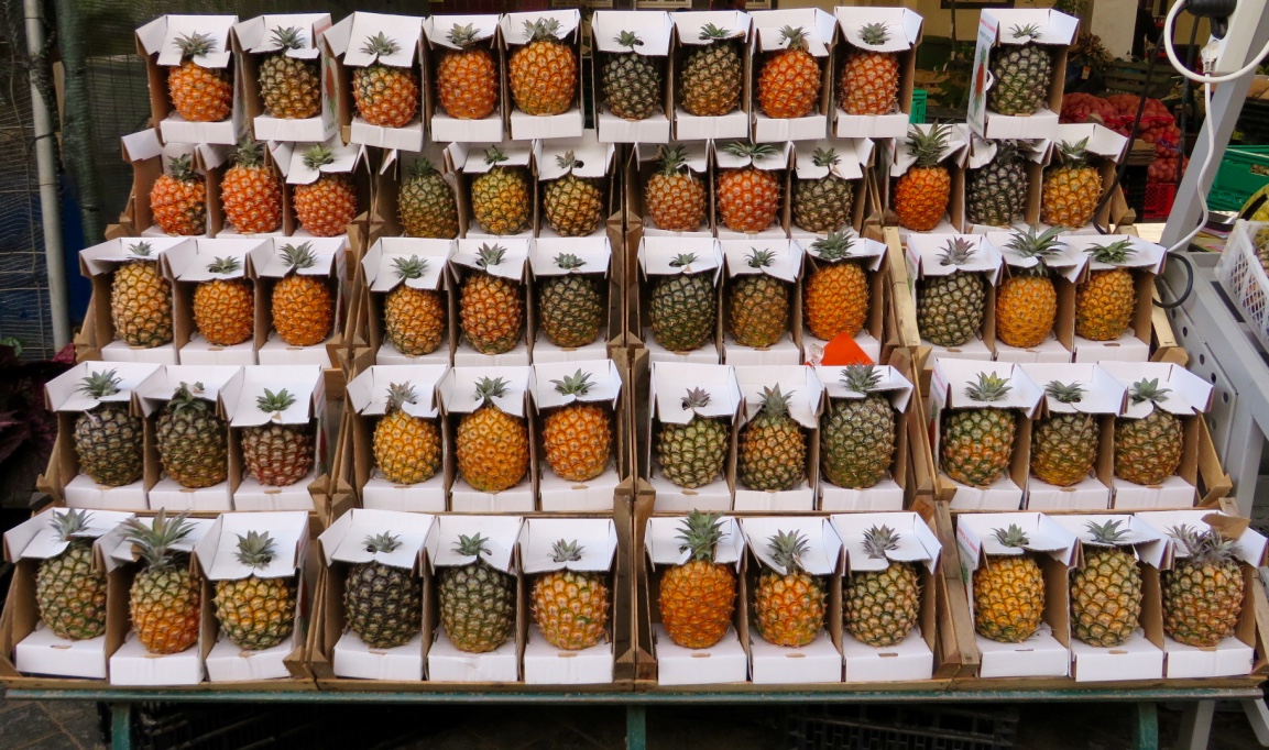 Ananas Verpackung Azoren Portugal