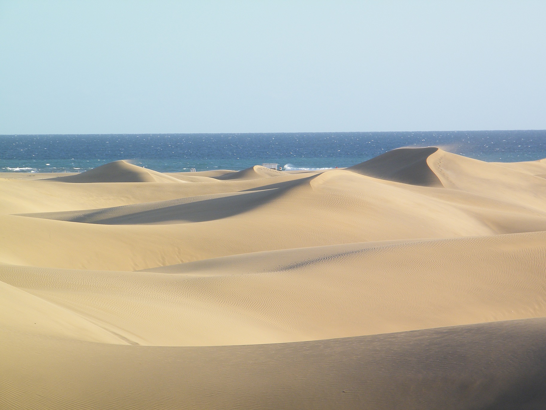 Wind fegt über die Maspalomas Dünen auf Gran Canaria