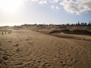Sandweg durch die Dünen von Maspalomas auf Gran Canaria