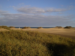 Nahaufnahme der Dünen von Maspalomas auf Gran Canaria