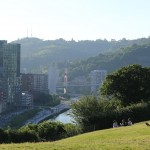 Wiese und Hochhäuser in Bilbao