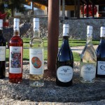 Weinauswahl von Algarve-Weinen