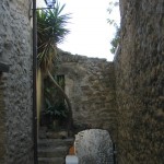 Kleine Gasse mit Palme in Besalù