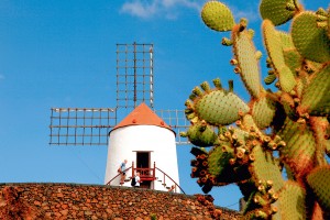 Windmühle und Kakteen auf Lanzarote