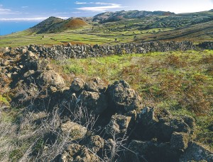 Wiesen mit Steinwall auf El Hierro