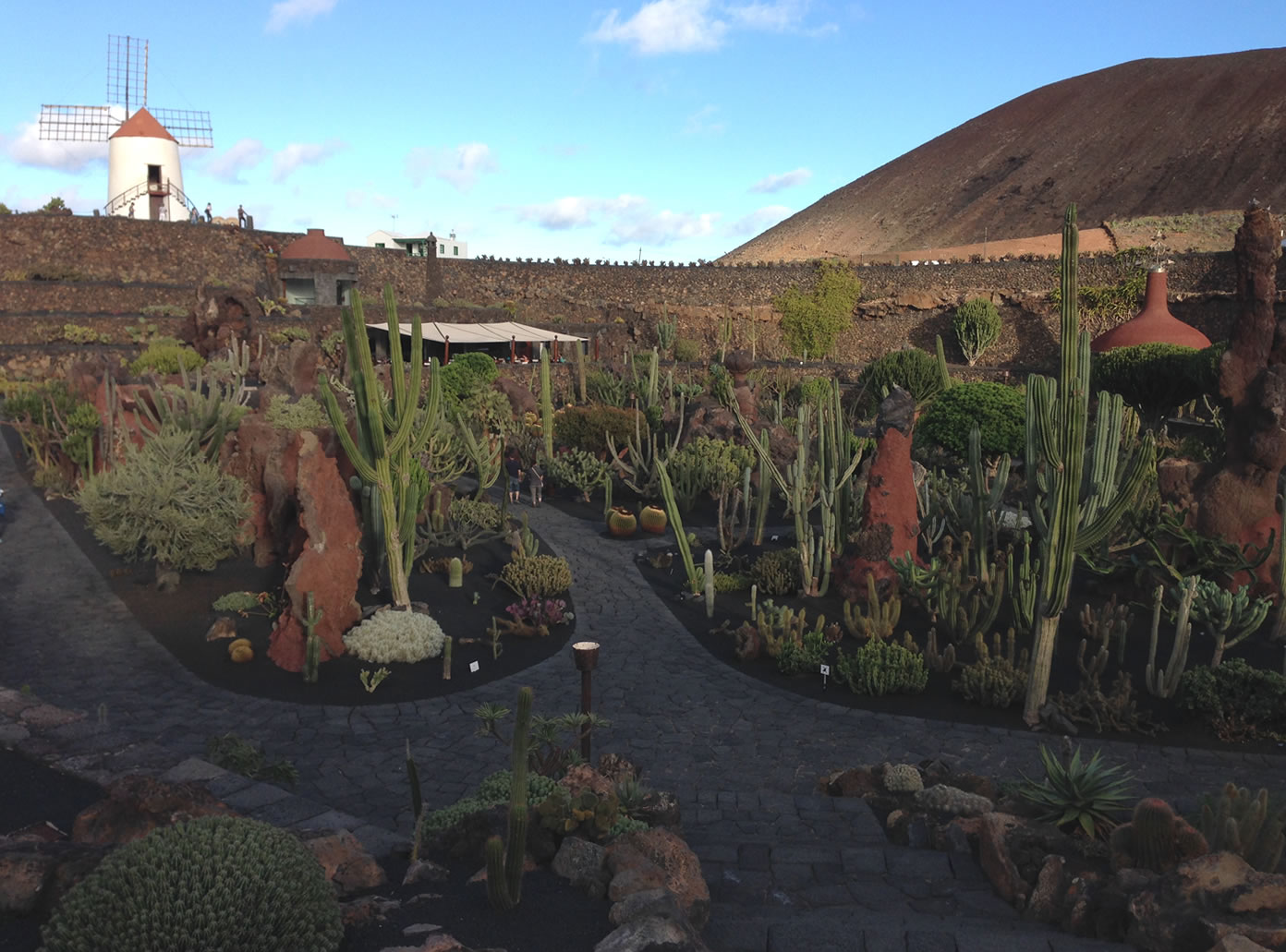 Jardin de Cactus