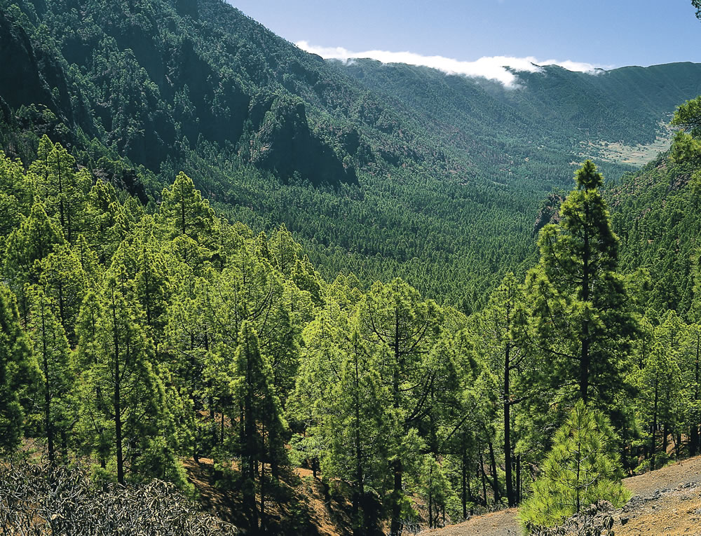 LaPalma-NationalparkCalderadeTaburiente-c-Turespana