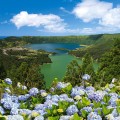 Sete Cidades auf den Azoren Blumen und See