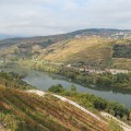 Douroblick Weinberge Mittelportugal