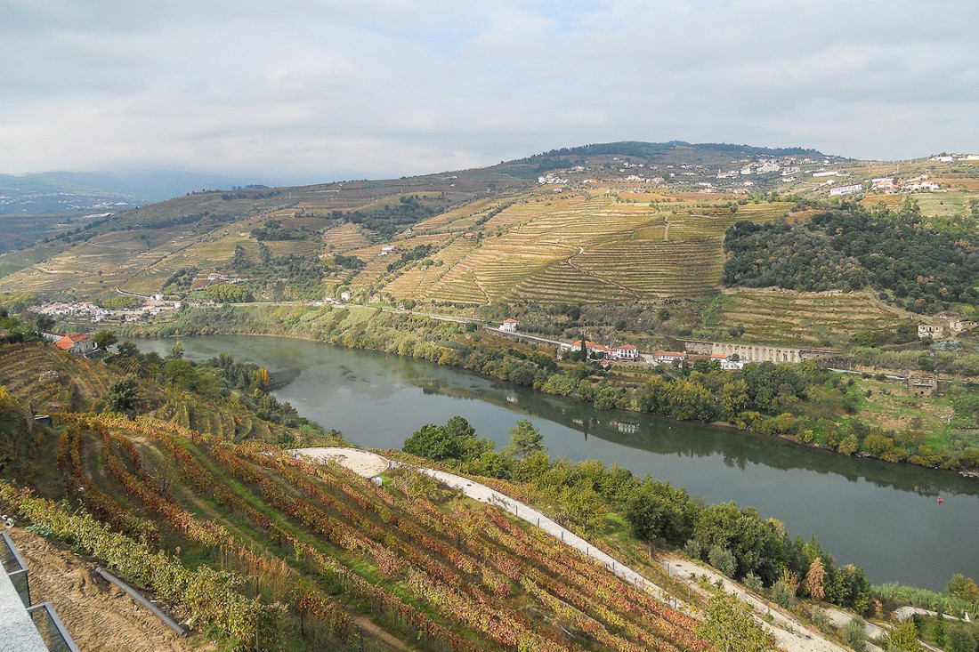 Douroblick Weinberge Mittelportugal