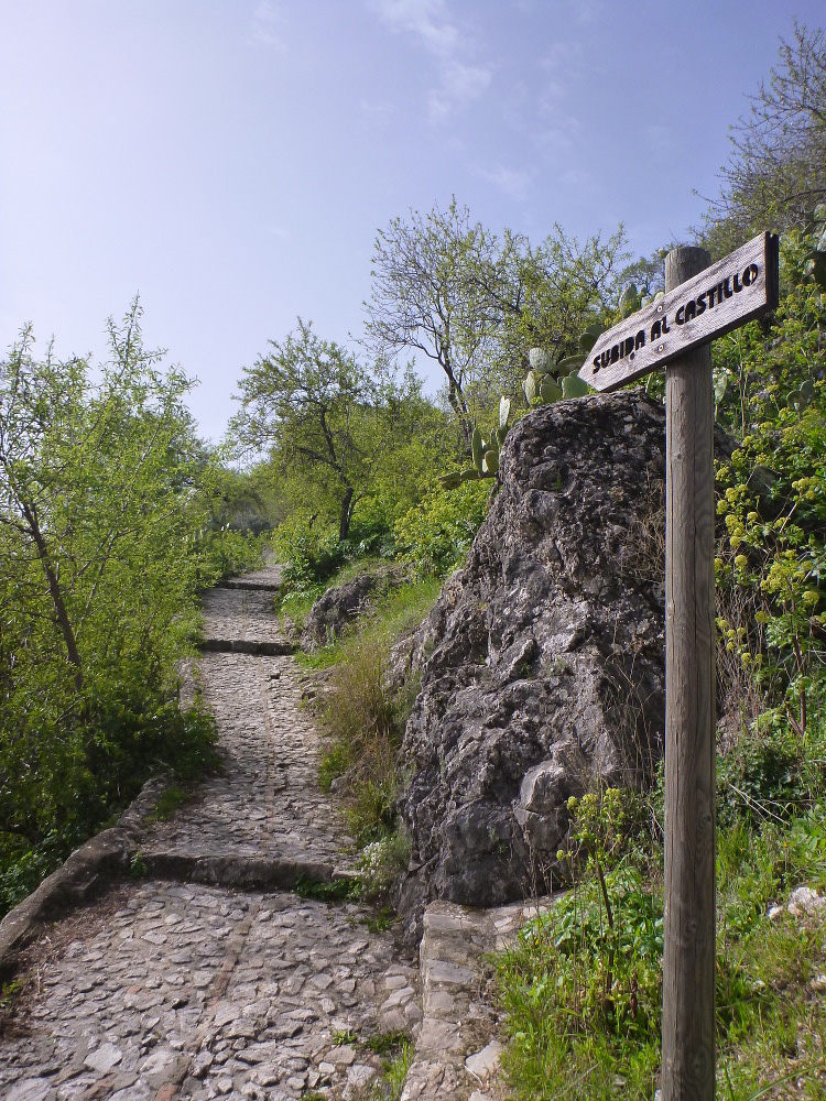 Aufgang zur Burg