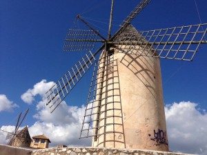Mühlen Palma
