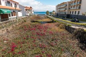 Zugewachsener Kanal Fluss Madeira