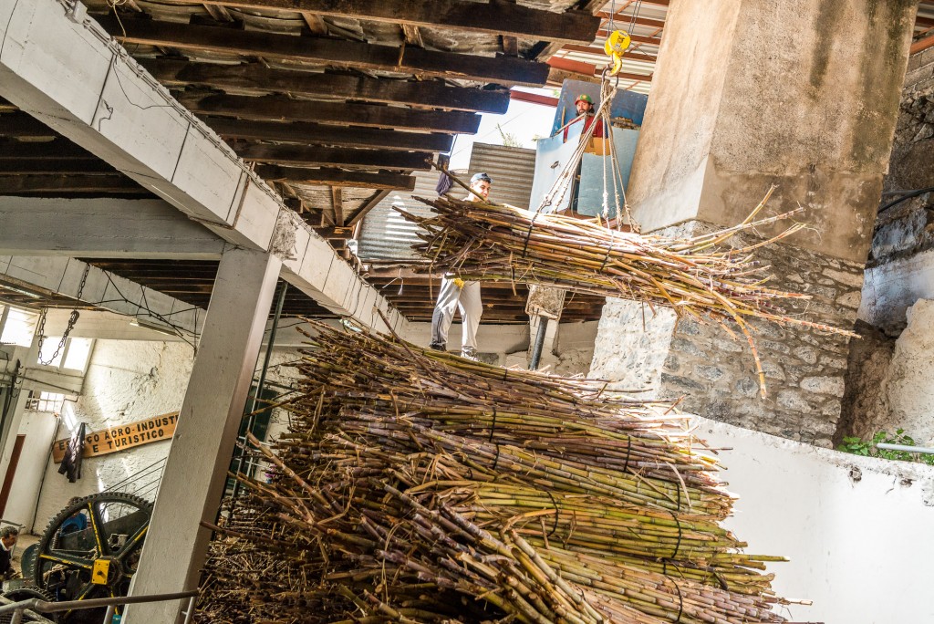 Zuckerrohr in Fabrik Madeira