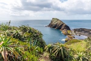 Felsen Küste Sao Miguel Azoren