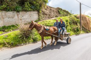 Pferdewagen Sao Miguel Azoren