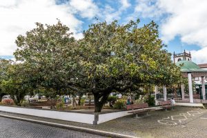 Parkanlage Sao Miguel Azoren