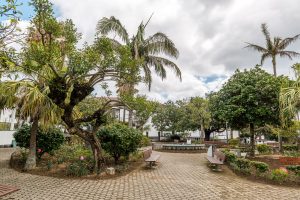 Park mit Palmen und Bänken Sao Miguel Azoren