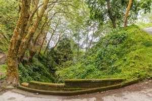 Kurvige Straße bei Furnas Sao Miguel Azoren