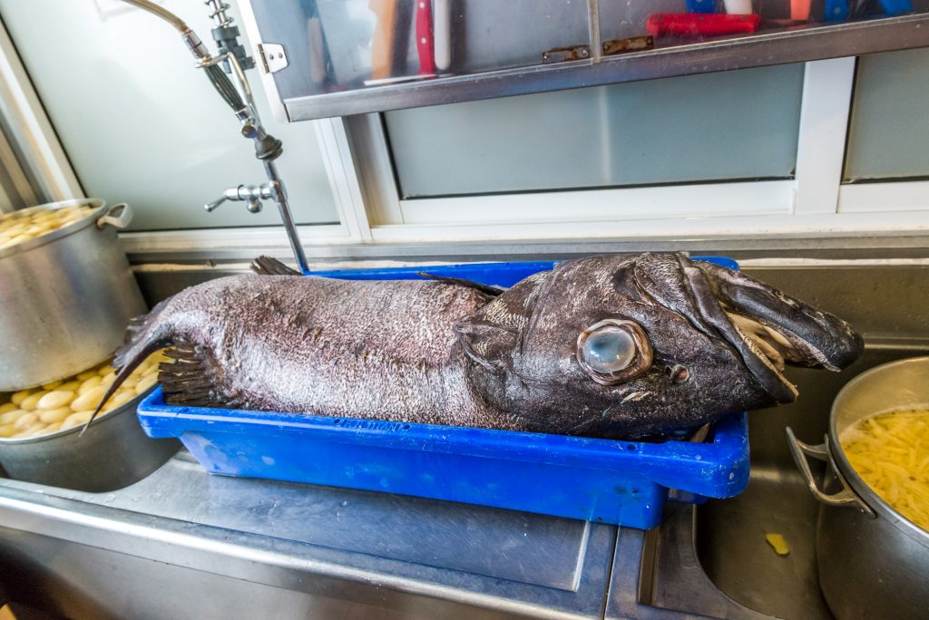 Fisch in Restaurantküche Azoren