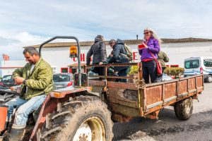 Traktor mit Anhänger Parkplatz Teeplantage Cha Gorreana Azoren