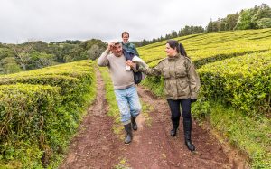 Personen in Teeplantage Cha Gorreana Azoren