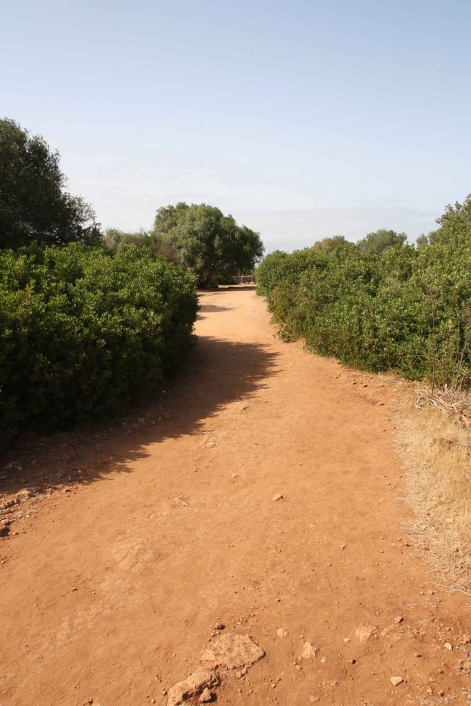 Wanderpfad durch den Naturpark