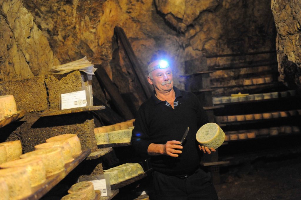 cabrales asturien käse