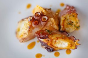 Pulpo