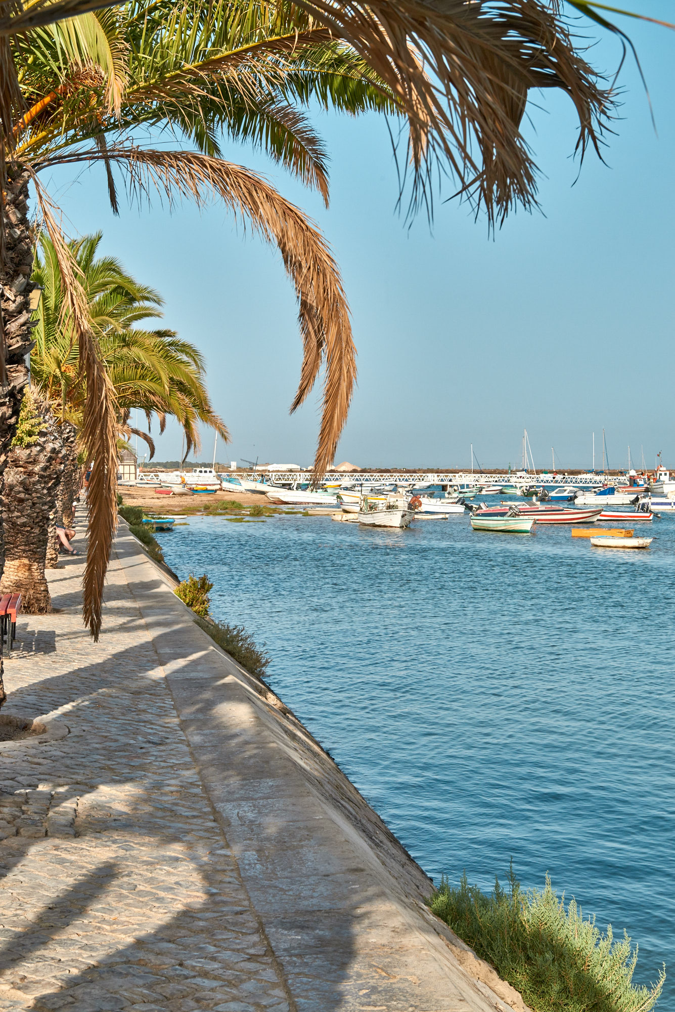 Hafen Tavira Algarve