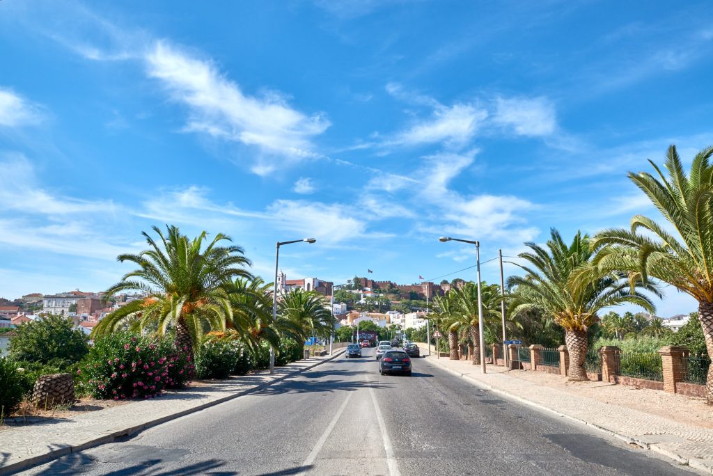 Straße mit Palmen an Straßenrand nach Silves