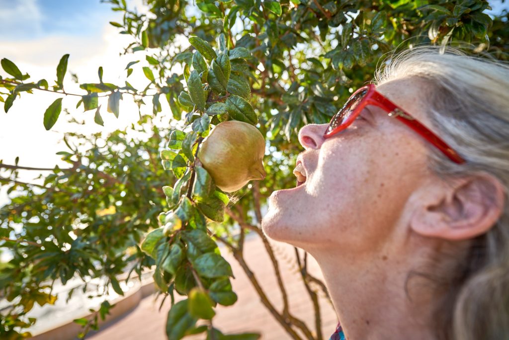 Frau Granatapfel Silves