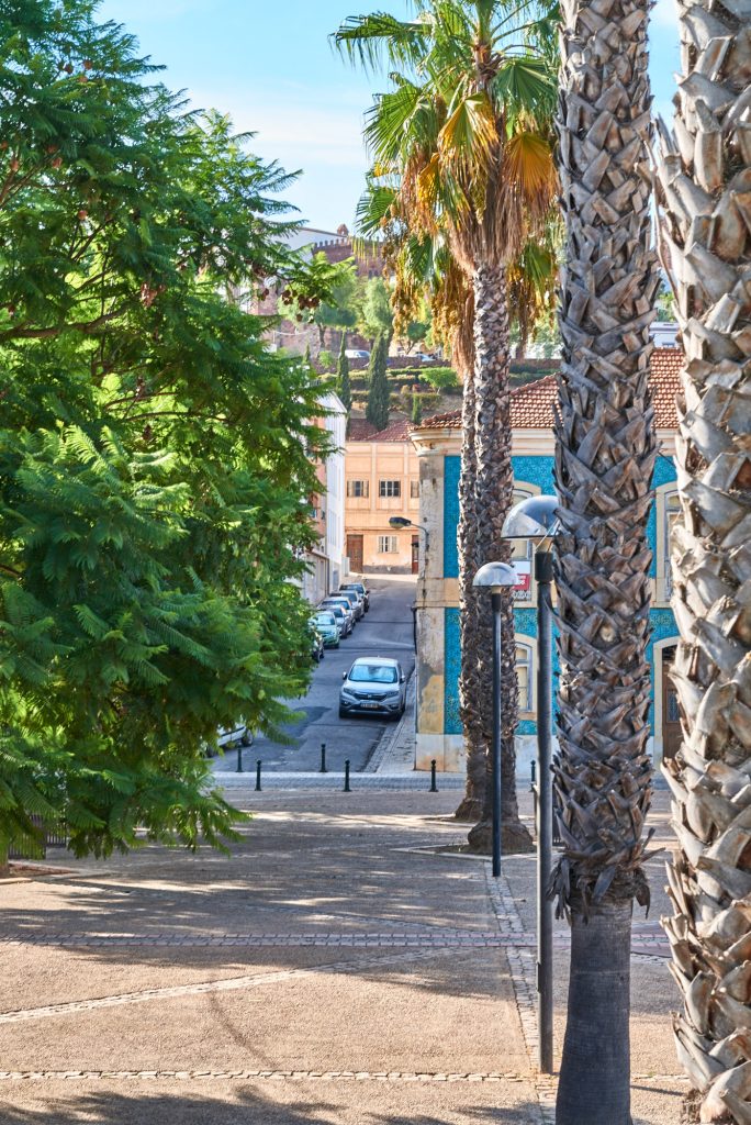 Palmen Straße Stadt Portugal