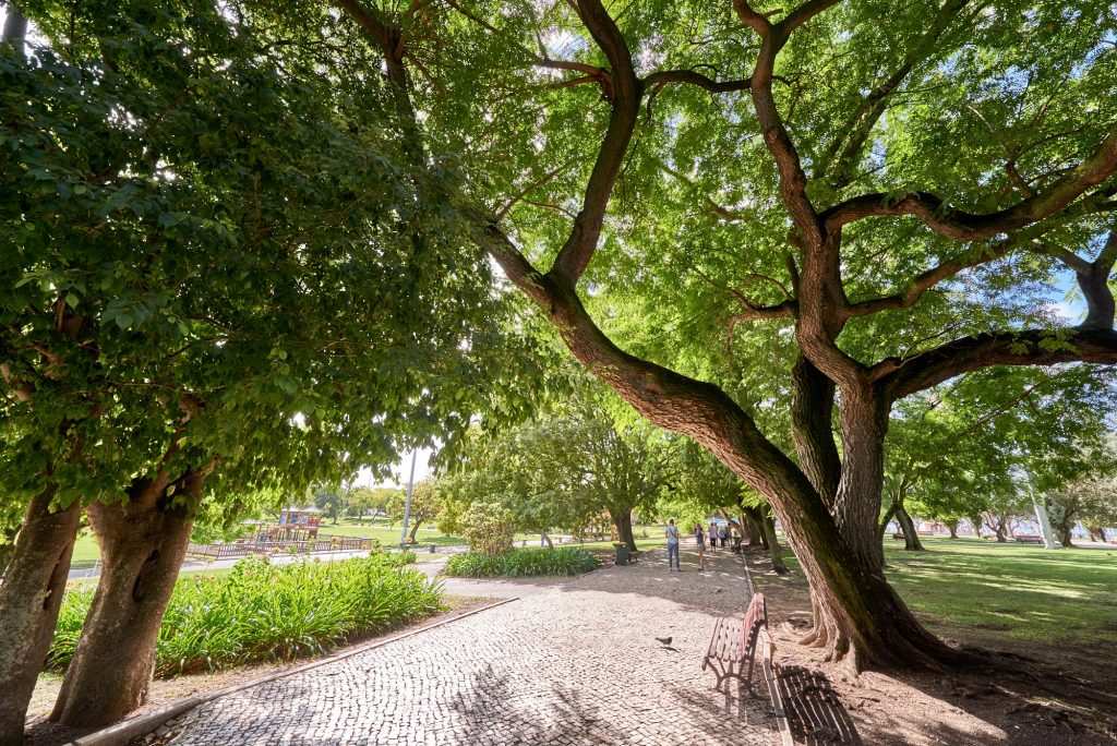 Park in Belém