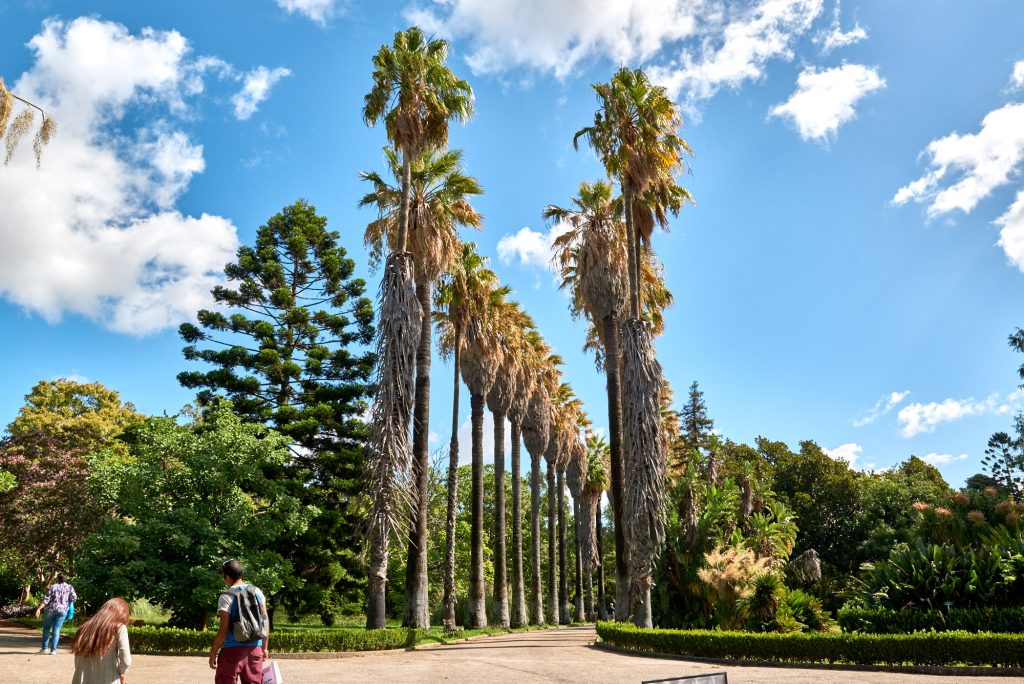 Palmen Park Belém