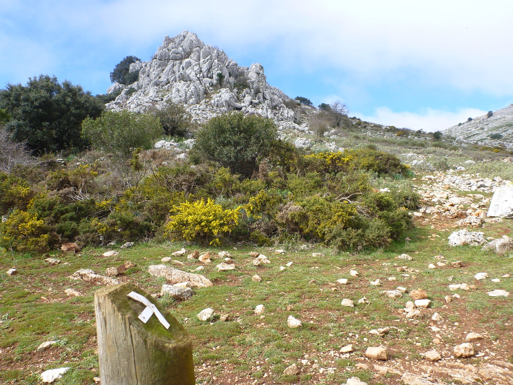 wanderweg-mit-markierung