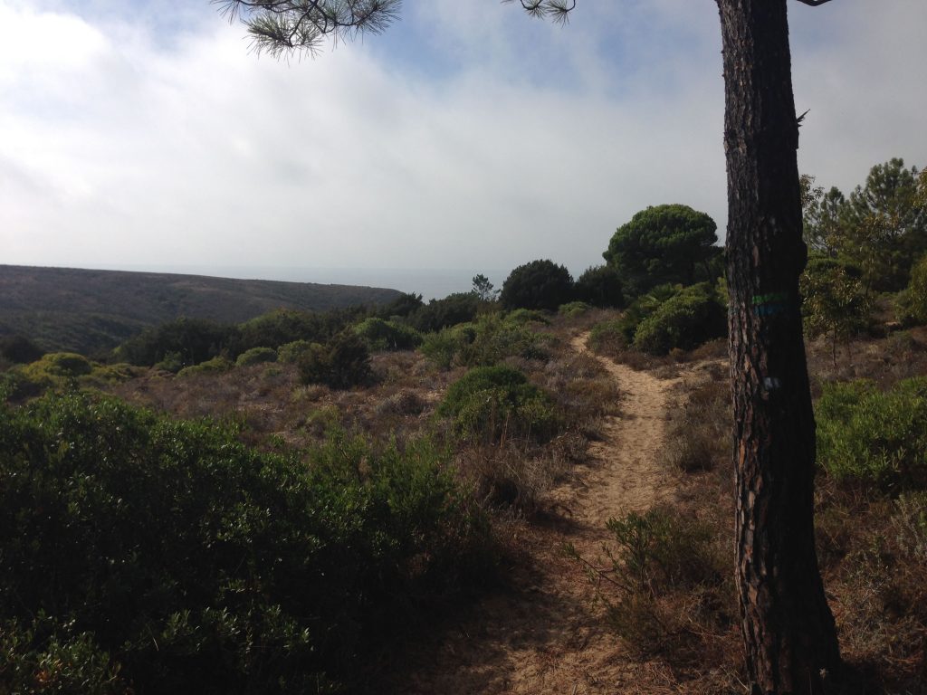 Wanderweg Rota Vincentina Weitblick