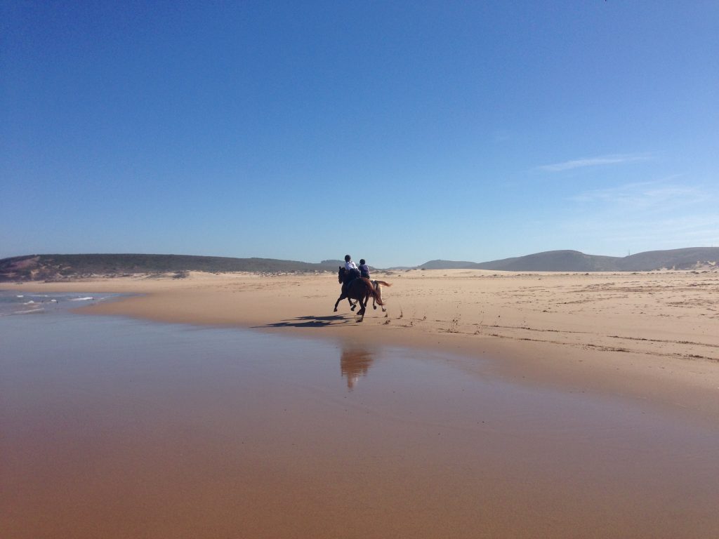 Reitende am Meer an der Rota Vicentina