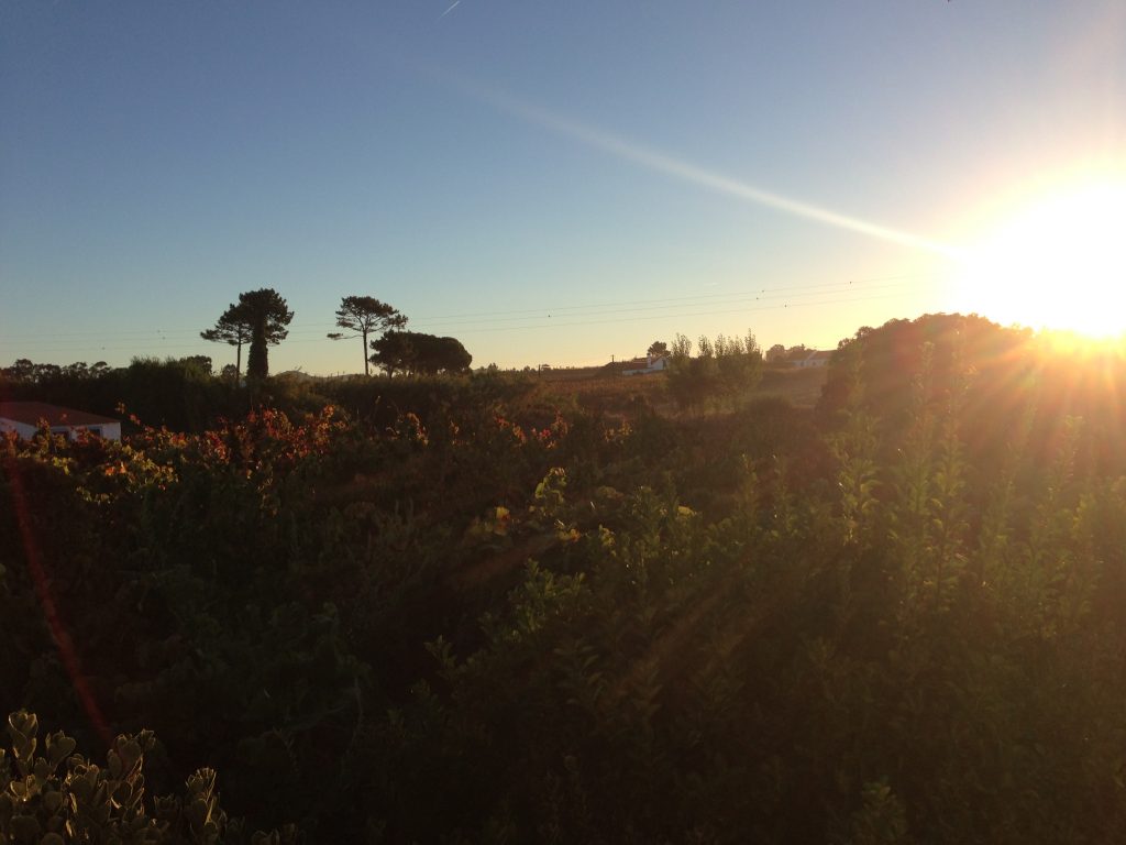 Rota Vicentina Morgenstimmung in Almograve