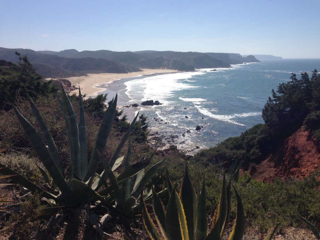 Praia do Amado Meer Rota Vicentina