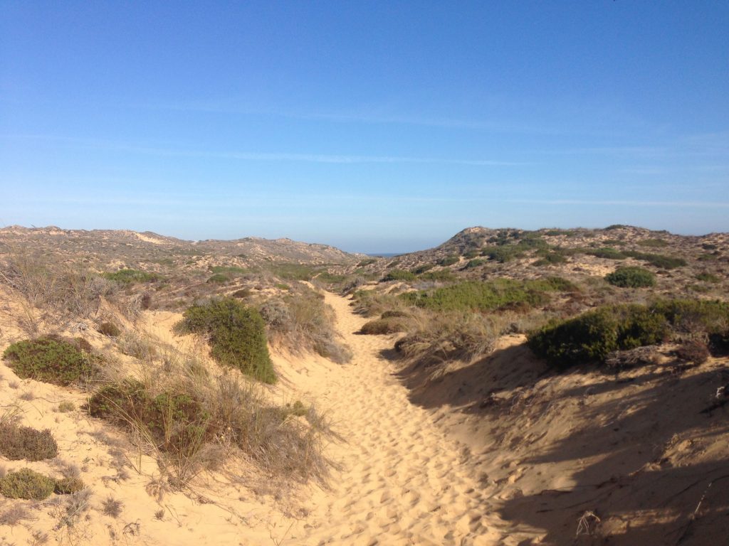 Rota Vicentina sandiger Fischerpfad bei Praia da Bordeira