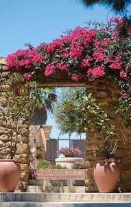 Blumen Torre Baglio Tempel auf Sizilien