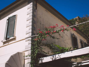 Rote Blüten ranken am toskanischen Haus