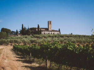 Blick auf Weinreben und Olivenbäume und toskanische Häuser